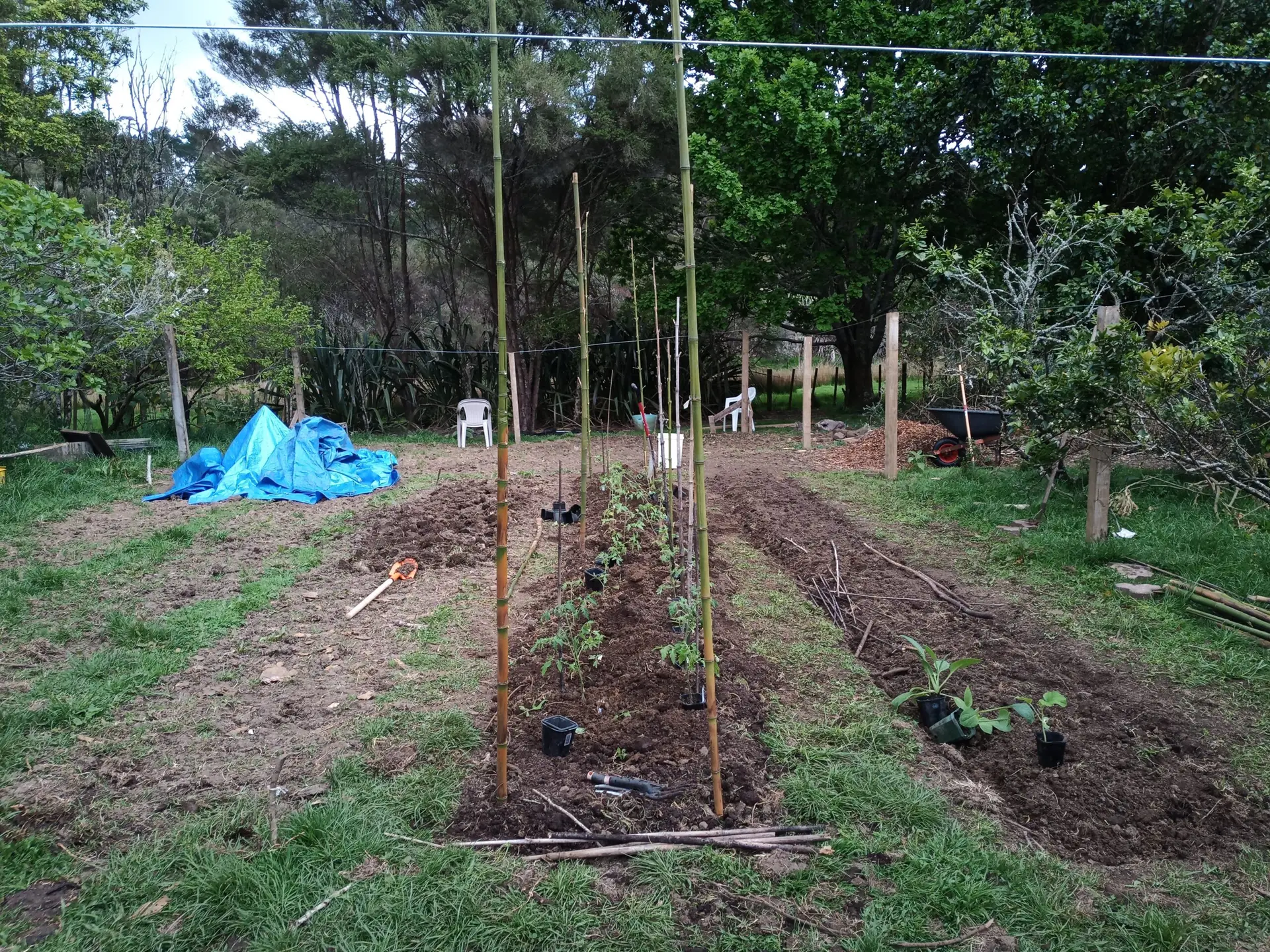 Kauri Spring Regenerative Farm